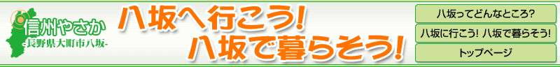 ����֍s�����I����ŕ�炻���I