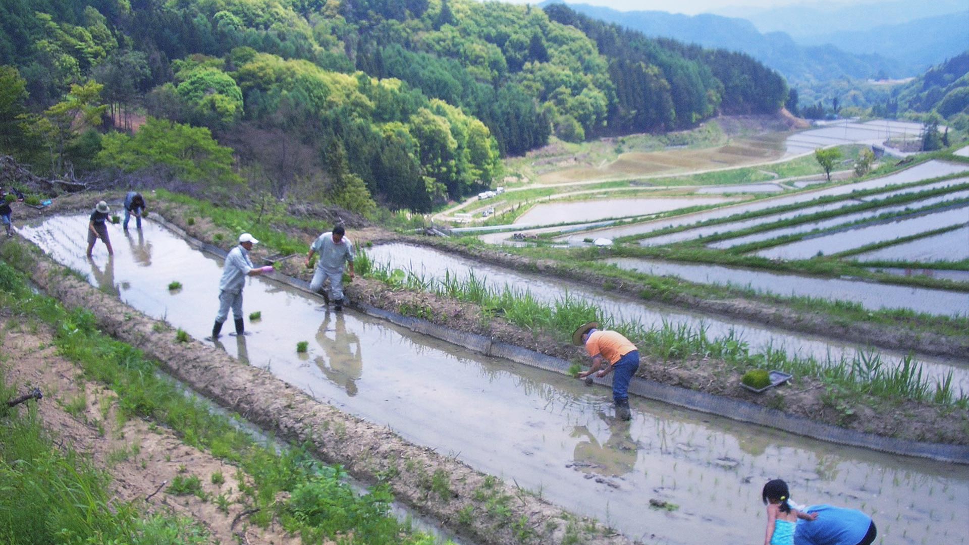 大町 市 天気